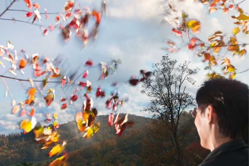 Frau mit Herbstblättern im Freien