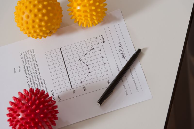 Igelbälle mit Statistik-Blatt